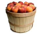 Turkey Divan with Peaches